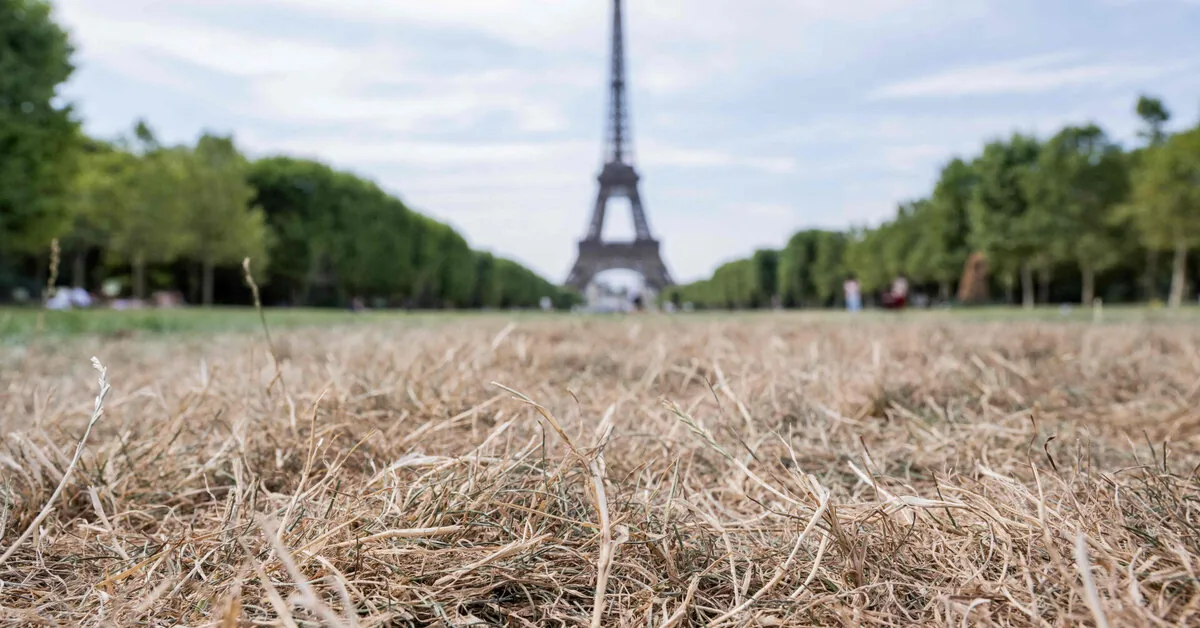 In France, 5.7 thousand more deaths than usual were recorded in June during a heatwave