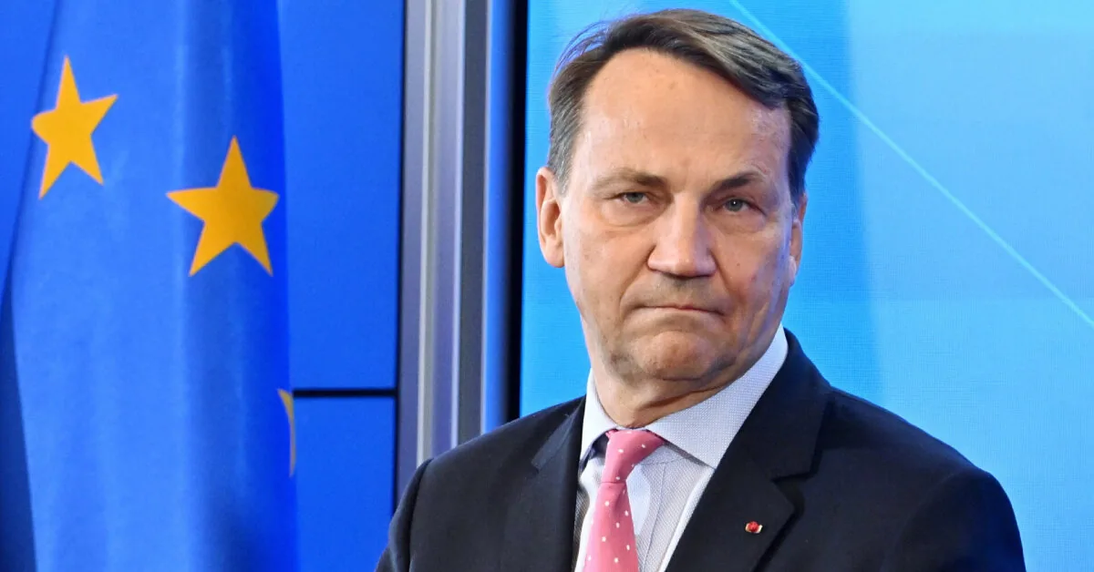 Sikorskis warned about a possible Putin move: "An armed patient is still an armed man"
