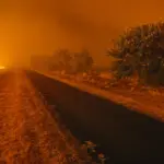 "Money for sadists and terrorists": found the "culprits" for the fires in France