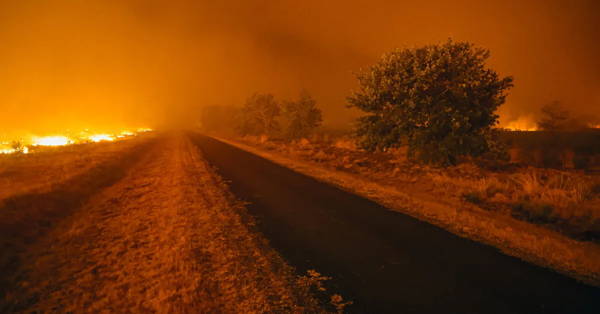 French Prime Minister calls a new emergency meeting on forest fire response