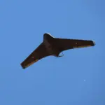 Ukraine is silent:: Head of drone design and manufacturing company injured in Russia