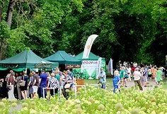 Žaliasis agurkų festivalis Kėdainiuose