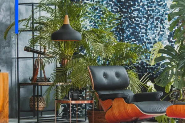 What to do to find your houseplants alive and lush when you return from vacation?