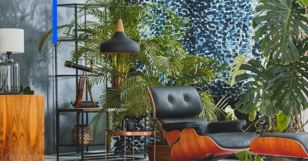 What to do to find your houseplants alive and lush when you return from vacation?
