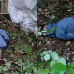 Alytus residents fell into a VSAT officers' ambush after coming to the forest to pick up cigarettes delivered by balloons