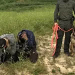 Lithuanian officer chased a group of suspected migrants for 27 km: Moka led the trail