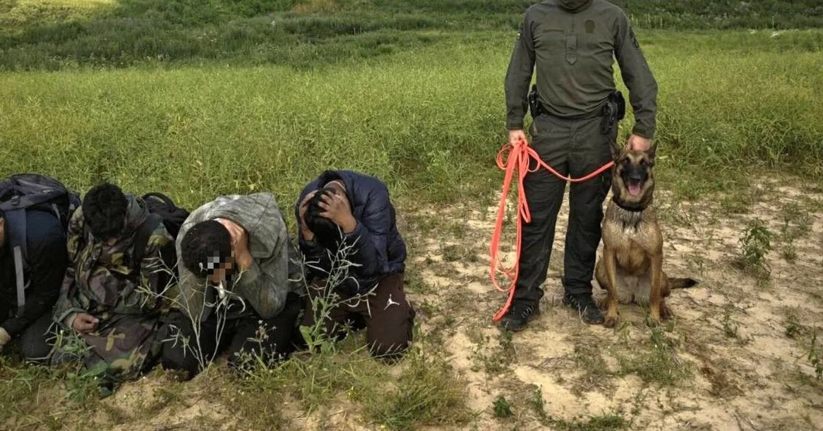 Lithuanian officer chased a group of suspected migrants for 27 km: Moka led the trail