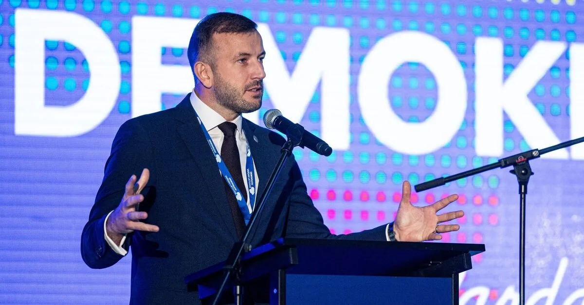 Virginijus Sinkevičius elected permanent leader of the ruling Democrats