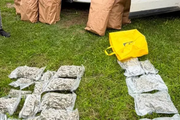 In Telšiai district, officers uncovered a cannabis growing laboratory, four suspects detained