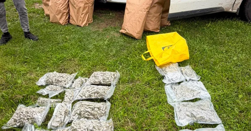 In Telšiai district, officers uncovered a cannabis growing laboratory, four suspects detained