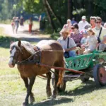 From indulgences to market days: an ethnologist revealed which celebrations used to bring entire families together