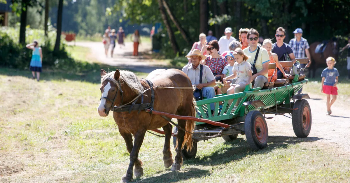 From indulgences to market days: an ethnologist revealed which celebrations used to bring entire families together