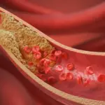 Cardiologist named the No. 1 product for lowering cholesterol: just a handful a day is enough