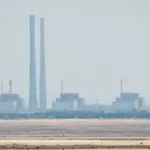 TATENA director condemned the engineer's death in the Russian-occupied Ukrainian nuclear plant