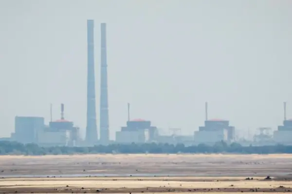 TATENA director condemned the engineer's death in the Russian-occupied Ukrainian nuclear plant