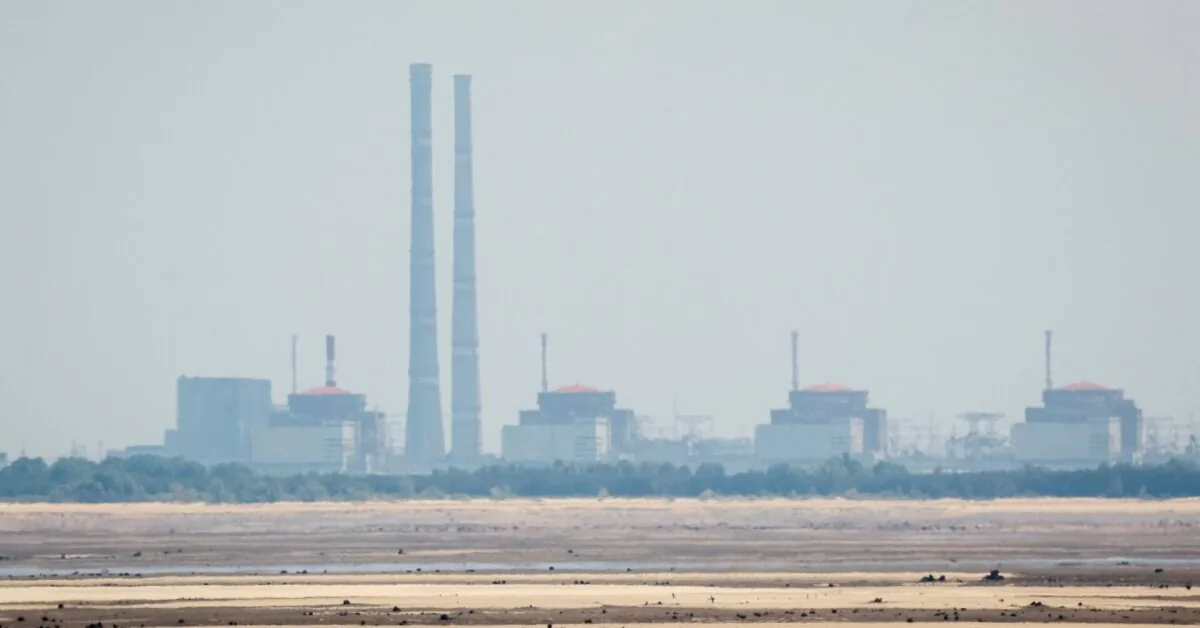 TATENA director condemned the engineer's death in the Russian-occupied Ukrainian nuclear plant