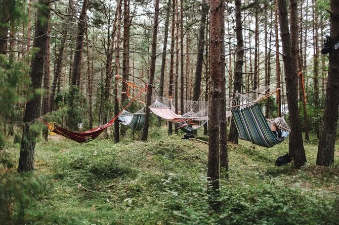 Organizatorių nuotr./Festivalis VAYUS