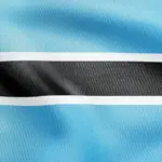 Botswana warns about the alarming increase in the number of citizens being lured into Russia's war