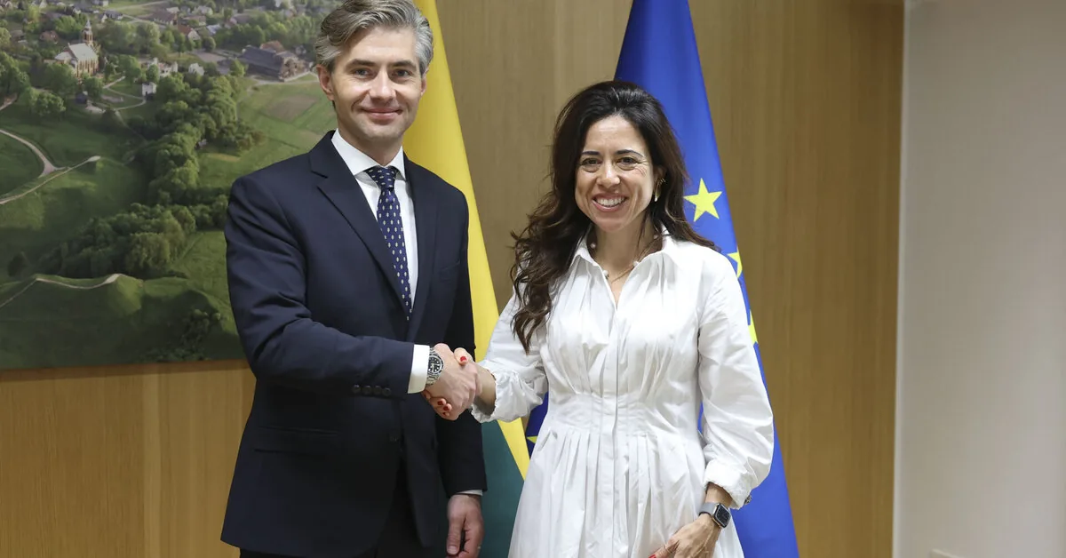 Kęstutis Budrys discussed cooperation between the countries and security in the Middle East with the UAE representative