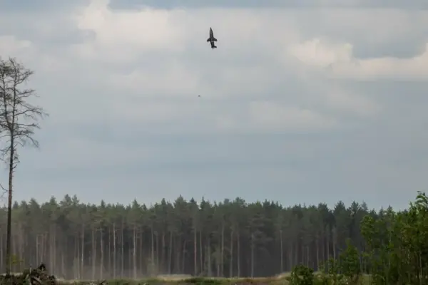 American "Mach Industries" demonstrated Viper, strengthening allies' defensive readiness