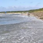 Midsummer report from Palanga beach: the missing beach, jackets, and when the water is warmer than the air