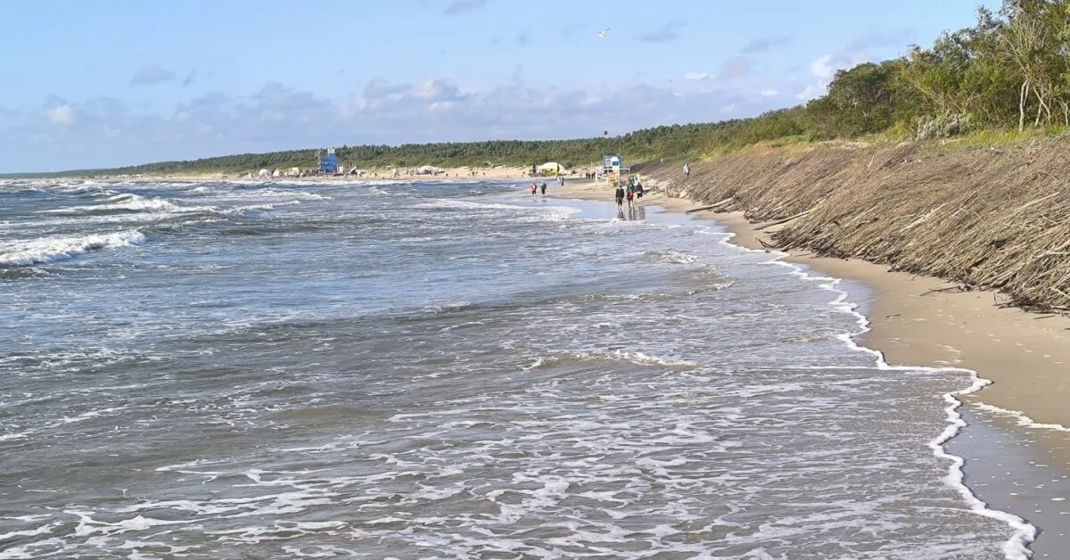 Midsummer report from Palanga beach: the missing beach, jackets, and when the water is warmer than the air