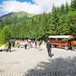 Protesters demand a ban on tourist horse carriages in the Polish Tatras