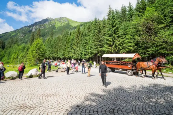 Protesters demand a ban on tourist horse carriages in the Polish Tatras
