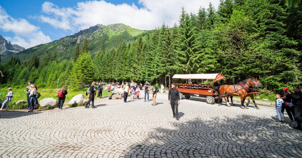 Protesters demand a ban on tourist horse carriages in the Polish Tatras