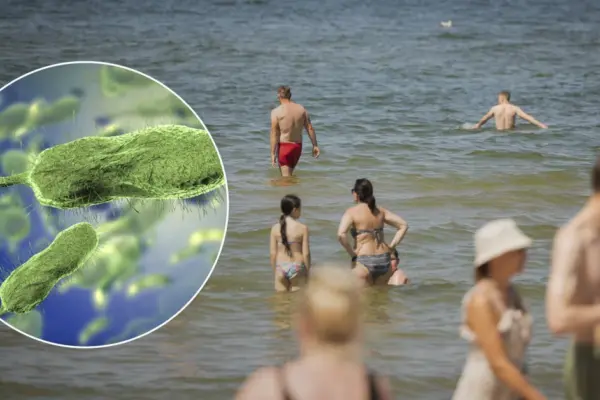 Warmer sea – greater risk: what you need to know about Vibrio bacteria