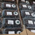 First Lithuanian blueberries – already in stores: how their price has changed