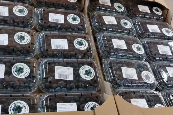 First Lithuanian blueberries – already in stores: how their price has changed