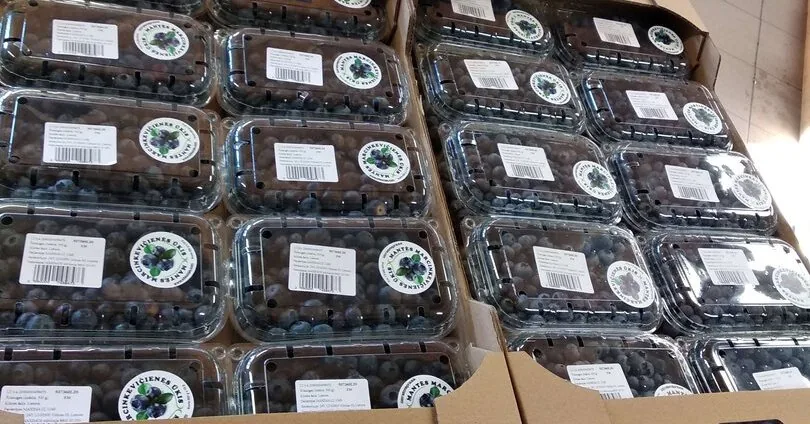 First Lithuanian blueberries – already in stores: how their price has changed
