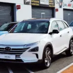Diesel Cars: Between Expectations and Reality