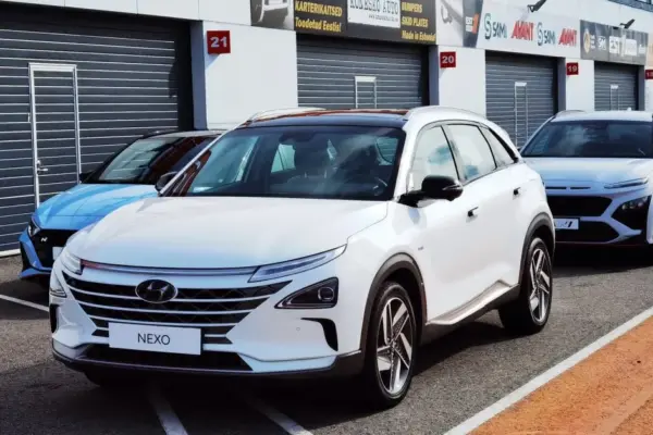 Diesel Cars: Between Expectations and Reality