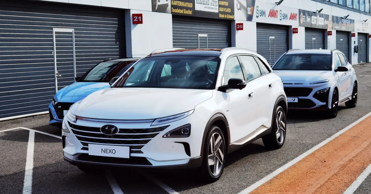 Diesel Cars: Between Expectations and Reality