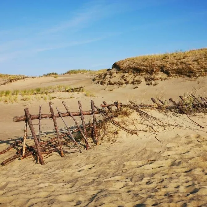 Žilvino Pekarsko / 15min nuotr./Naglių gamtinis rezervatas