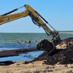Palanga is already cleaned up, but in one section of Klaipėda – there are still mountains of algae