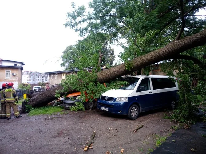 Photo from the Lower Silesian Voivodeship administration / Storm aftermath in the Lower Silesian region