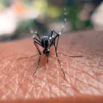 Warning for travelers: deadly virus confirmed in 9 countries