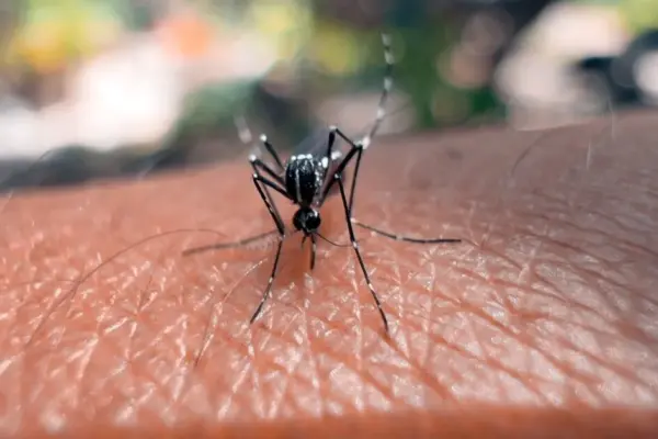Warning for travelers: deadly virus confirmed in 9 countries