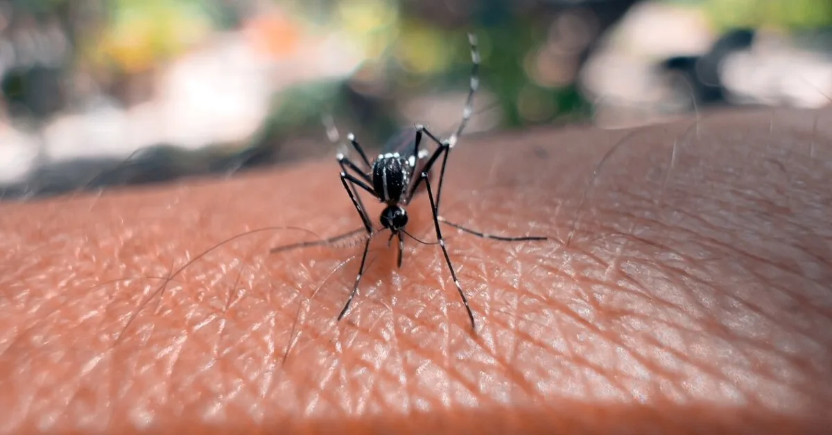 Warning for travelers: deadly virus confirmed in 9 countries