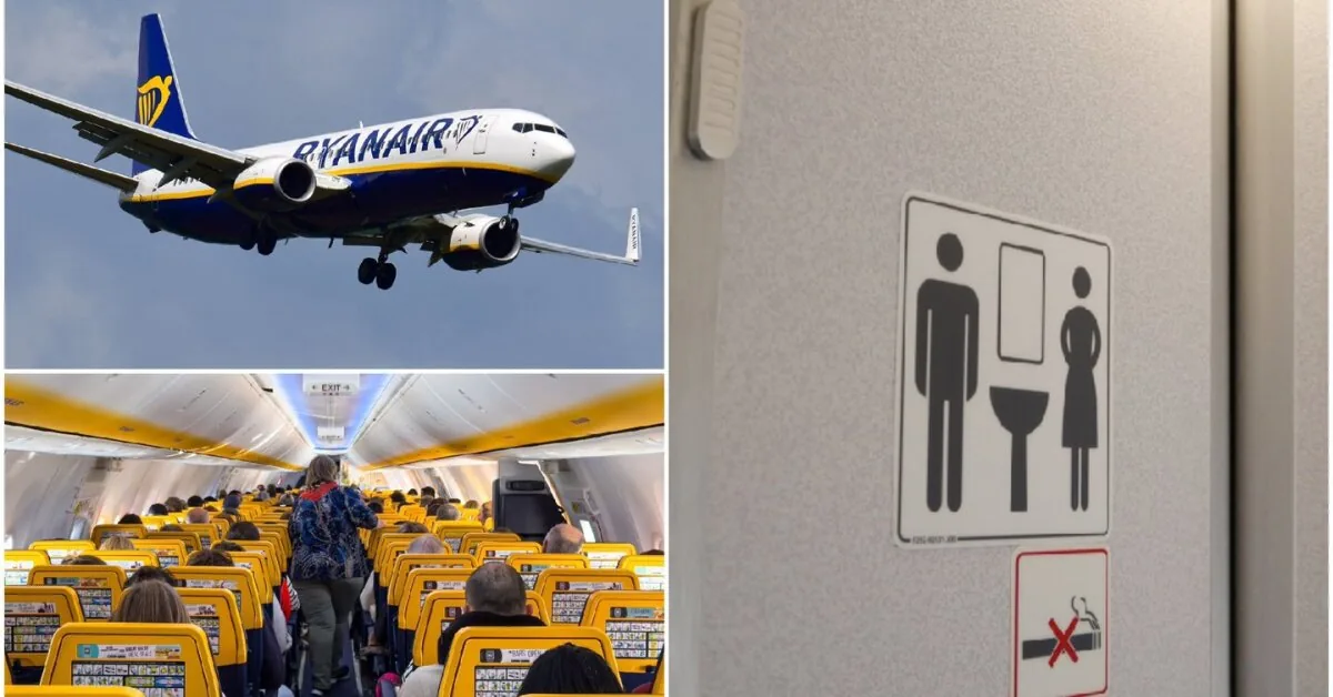 Nightmare on a Ryanair flight: shocking behavior of drunk passengers and suspected sex in the airplane toilet