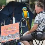 Weather changes are coming, but it will remain warm