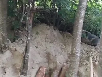 Border guards have stopped the construction of another underground tunnel for illegal migrants from Belarus