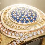 A unique prize will be awarded to the winners of the World Football Championship
