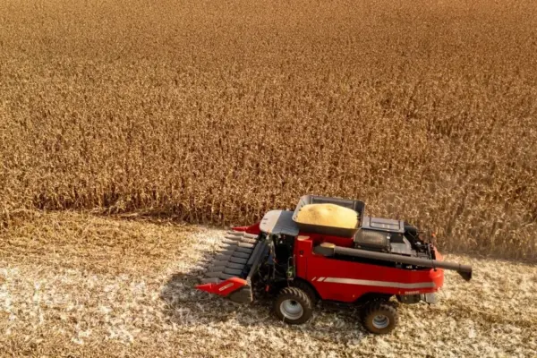 How the granaries will fill this year: this year's harvest is forecasted to be no worse than last year's
