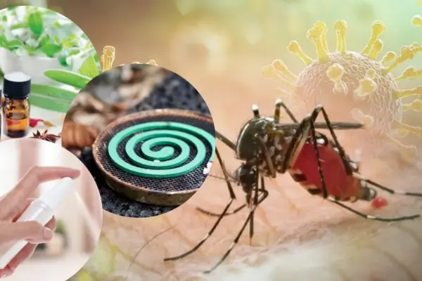 How to best protect yourself from mosquitoes? Scientists have identified the most effective measures