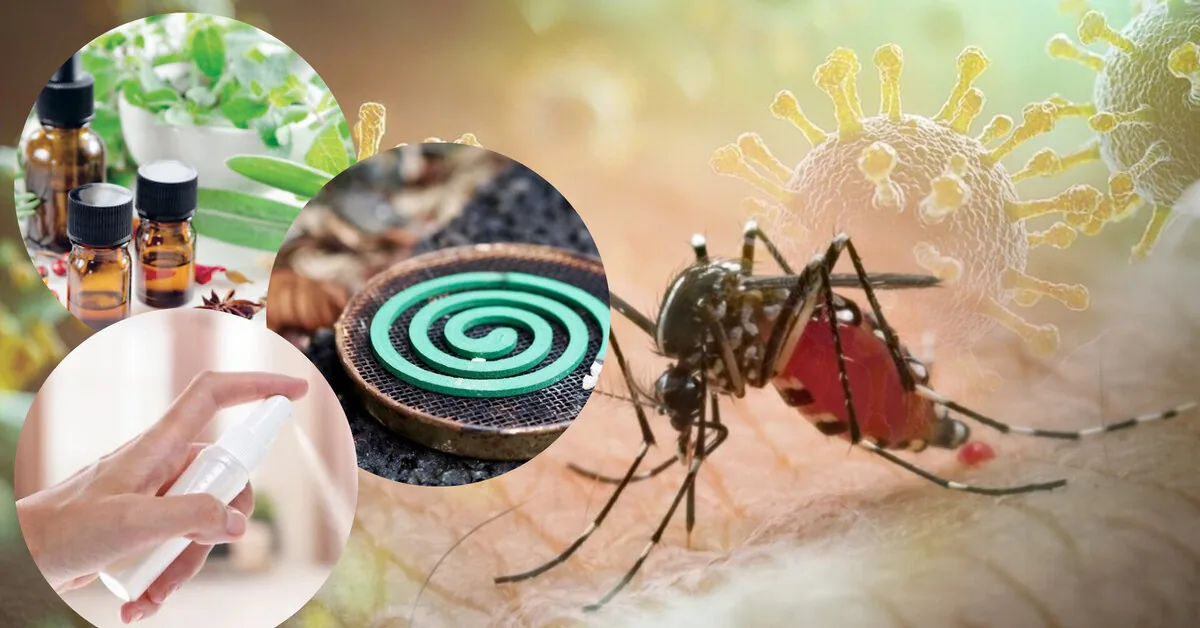 How to best protect yourself from mosquitoes? Scientists have identified the most effective measures