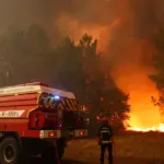 Massive forest fires in Europe: thousands of people flee from their homes